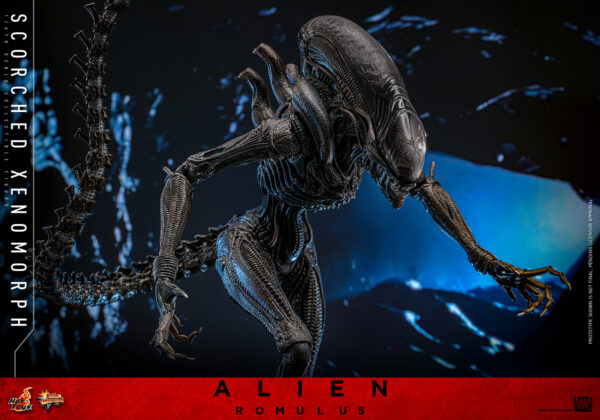 scorched (4) Hot Toys Alien Romulus - Scorched Xenomorph - Imagen 15