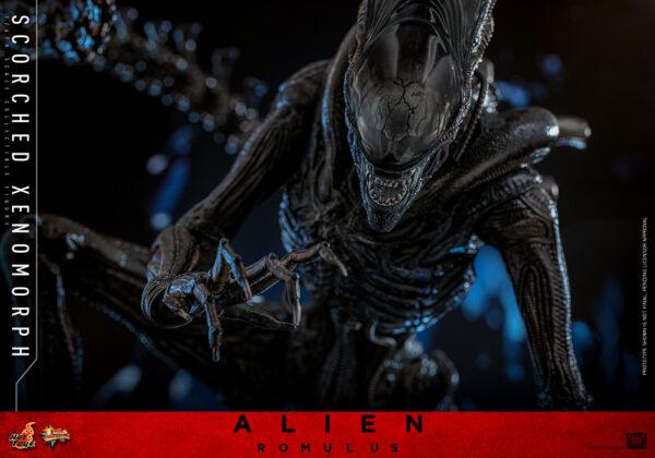 scorched (5) Hot Toys Alien Romulus - Scorched Xenomorph - Imagen 16