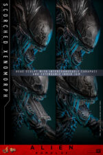 Hot Toys Alien Romulus - Scorched Xenomorph - Imagen 17
