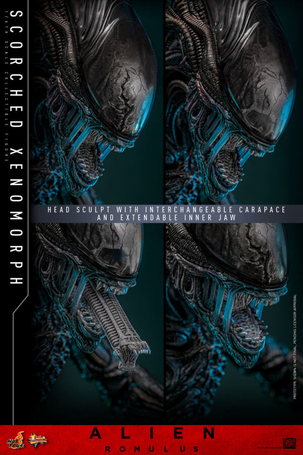 scorched (6) Hot Toys Alien Romulus - Scorched Xenomorph - Imagen 17