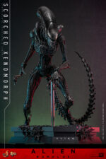 Hot Toys Alien Romulus - Scorched Xenomorph - Imagen 18