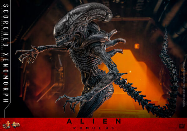 scorched (8) Hot Toys Alien Romulus - Scorched Xenomorph - Imagen 19