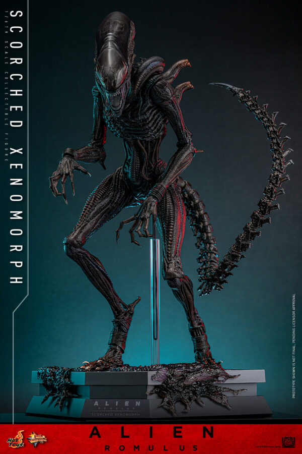 scorched (9) Hot Toys Alien Romulus - Scorched Xenomorph - Imagen 20